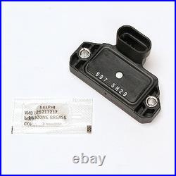 Delphi DS10039 Ignition Module