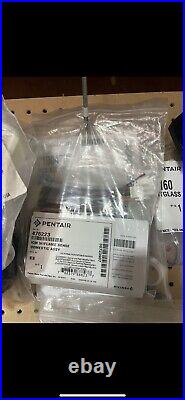 NEW PENTAIR Ignition Control Module with Flame Sense Domestic Assembly 476223