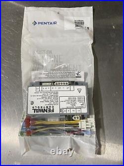 Pentair 476223 Ignition Control Module Replaces Older Module 42001-0052S